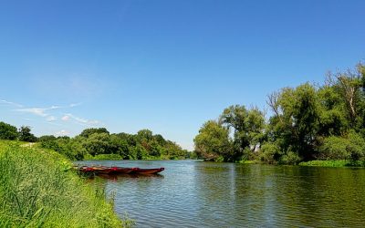 How to Live Longer and Feel Better – The Blue Zone Lifestyle