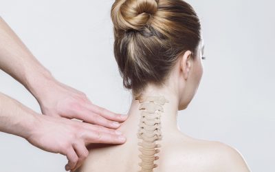 Difference Between Chiropractic Adjustment, Spinal Manipulation, and Spinal Mobilization