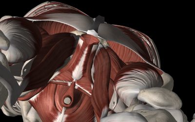 The Best Treatment for Pelvic Floor Dysfunction