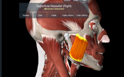 Jaw Pain: Causes, Treatment, and Exercises