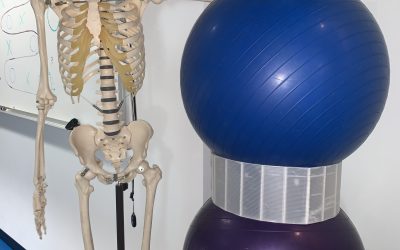 Are Ergonomic Chairs Worth It?