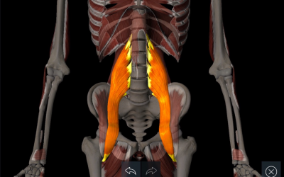 Pain in the Lower Left Abdomen and Back?